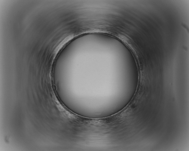 X0000101221189200807111049