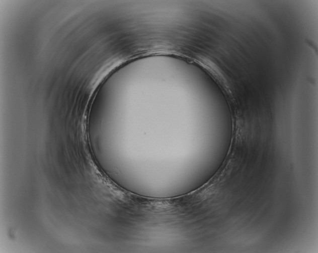 X0000101221190200807111049