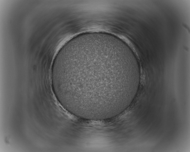 X0000101221191200807111049