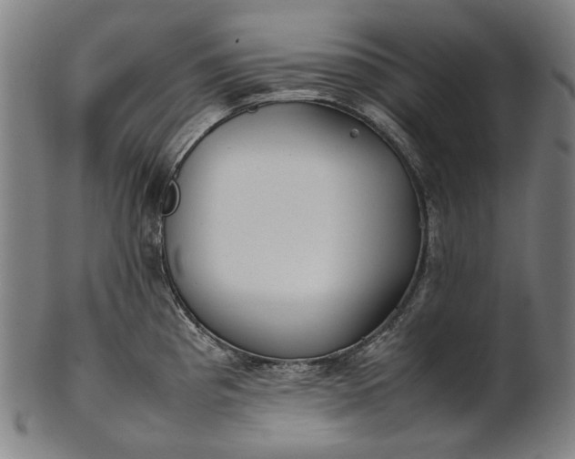 X0000101221193200807111049