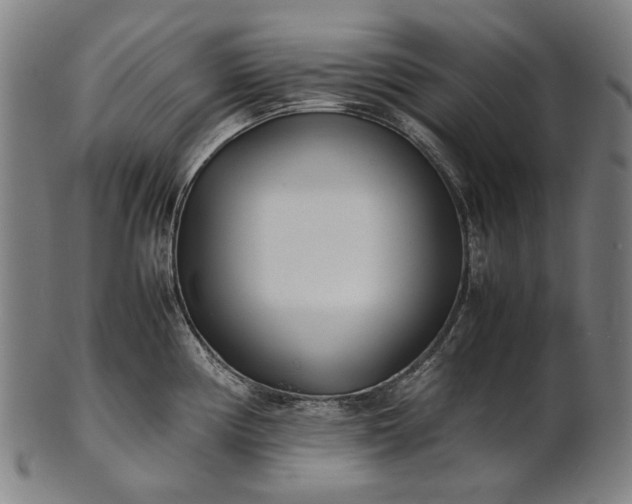 X0000101221194200807111049