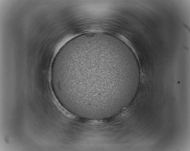 X0000101221195200807111049