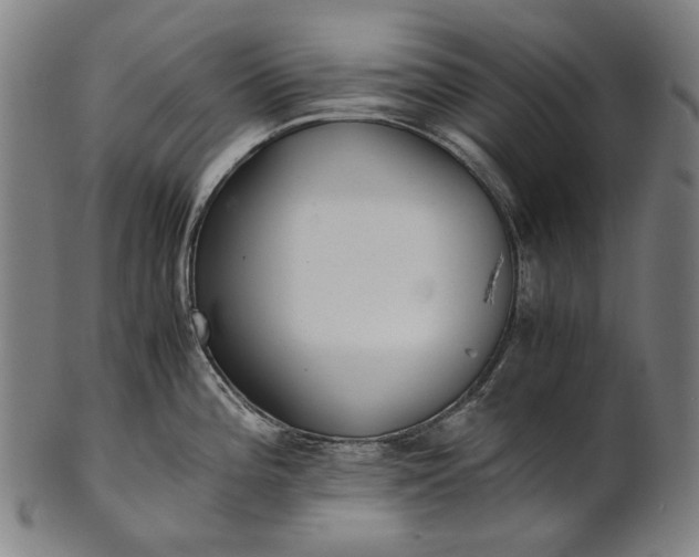 X0000101221196200807111049