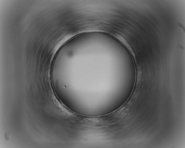 X0000101221197200807111049