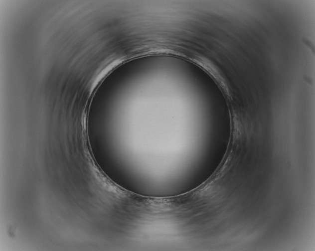 X0000101221198200807111049