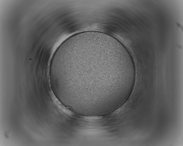 X0000101221200200807111049