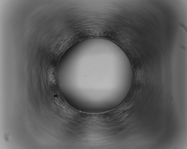 X0000101221202200807111048