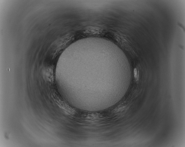 X0000101221203200807111048