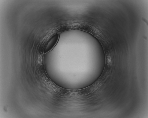 X0000101221204200807111048