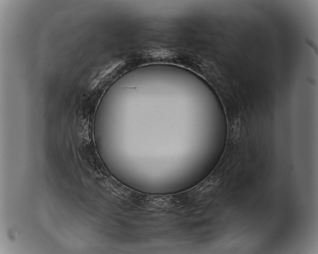 X0000101221205200807111048