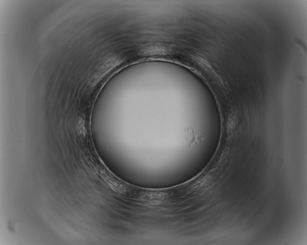 X0000101221209200807111048