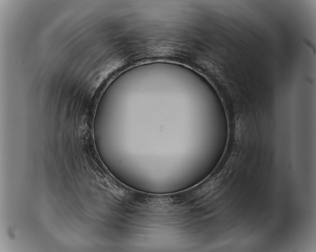 X0000101221210200807111048