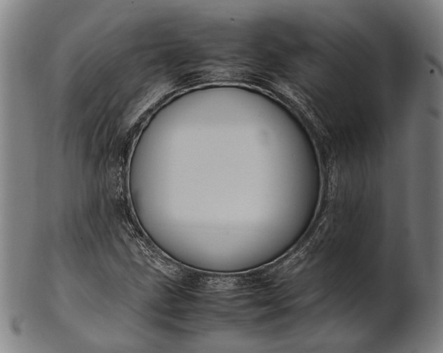 X0000101221211200807111048