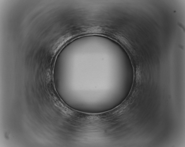 X0000101221212200807111049