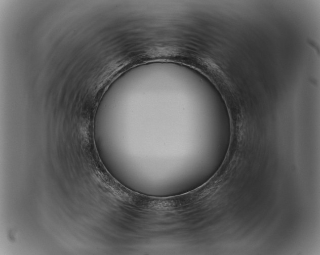 X0000101221217200807111049