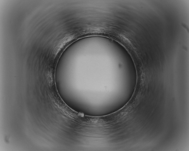 X0000101221218200807111049