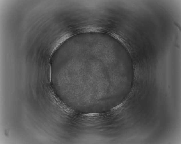 X0000101221219200807111049