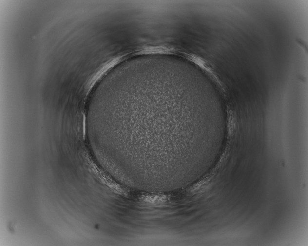 X0000101221221200807111049