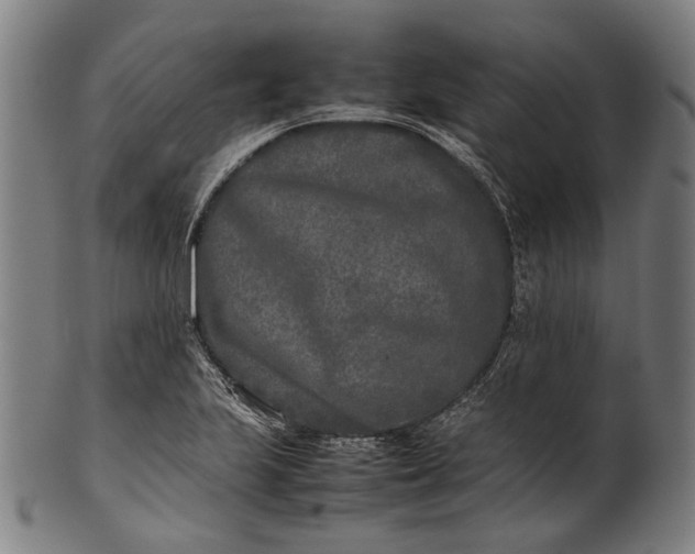 X0000101221223200807111049