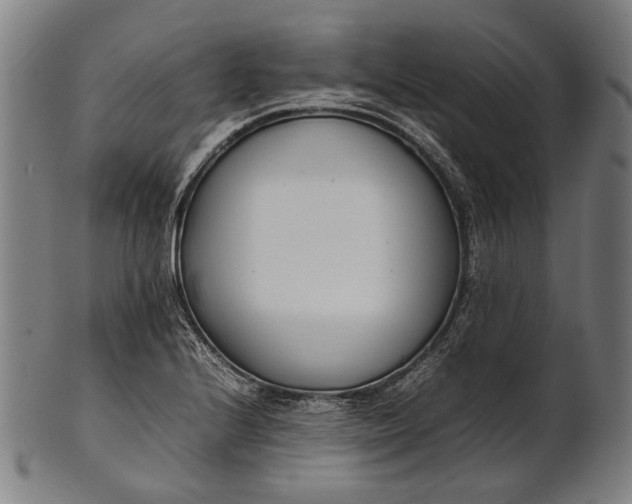 X0000101221224200807111049
