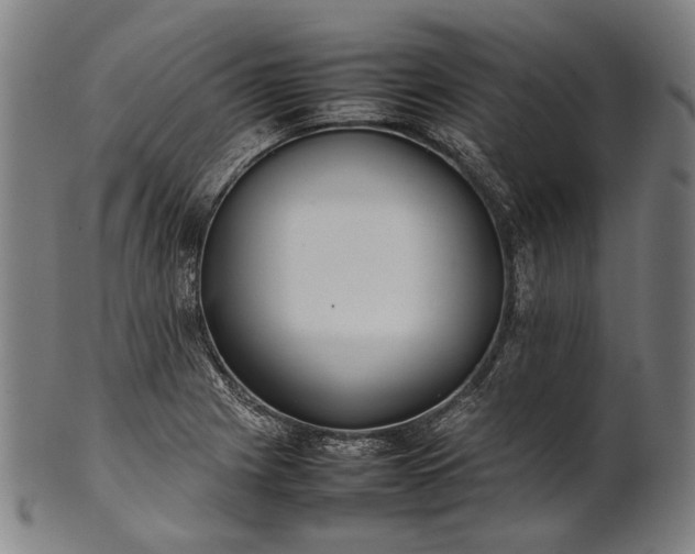 X0000101221225200807111049
