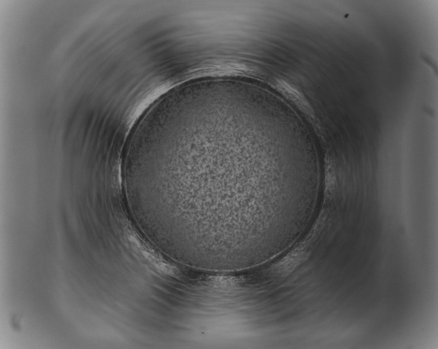 X0000101221226200807111049