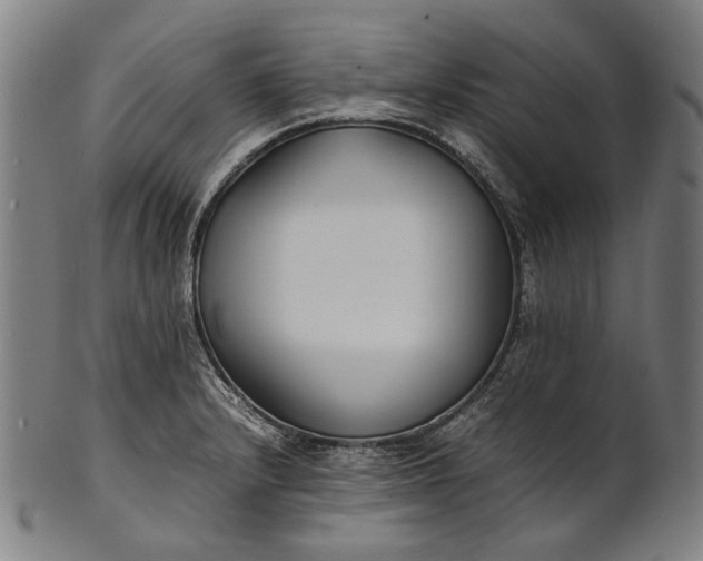 X0000101221232200807111049