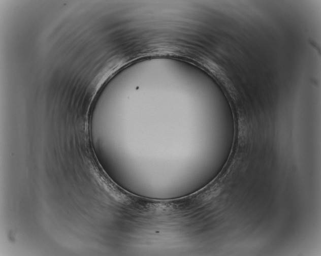 X0000101221234200807111049