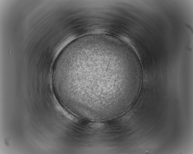 X0000101221235200807111049