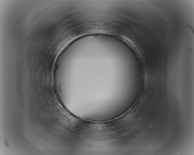 X0000101221236200807111049