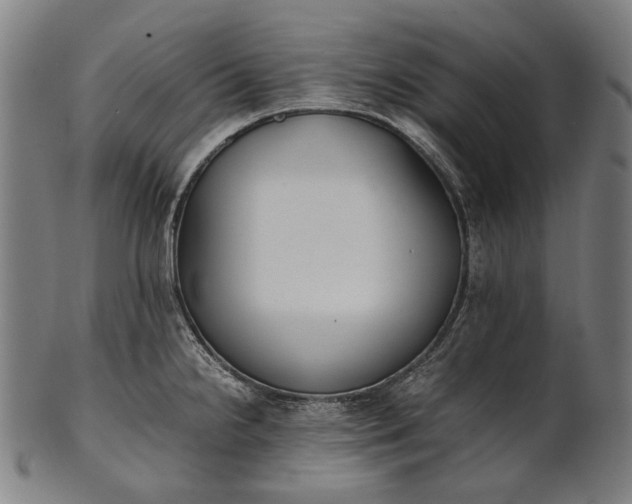 X0000101221238200807111049