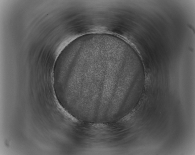X0000101221239200807111049
