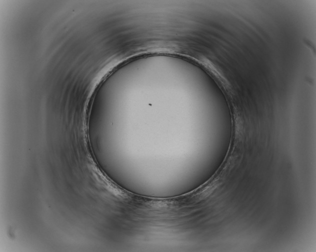X0000101221240200807111049