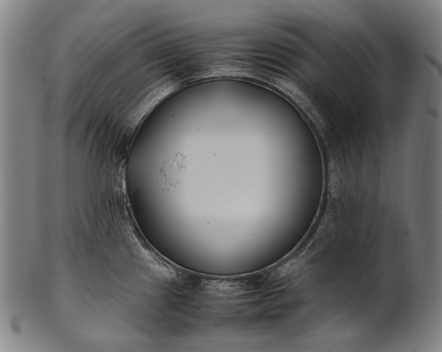 X0000101221241200807111049