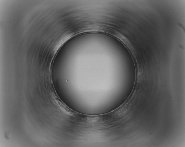 X0000101221242200807111049