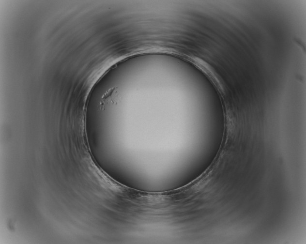X0000101221244200807111049