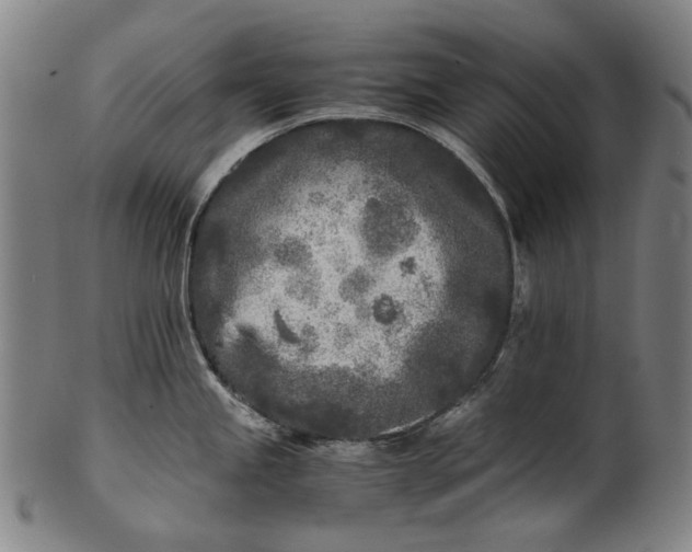 X0000101221245200807111049