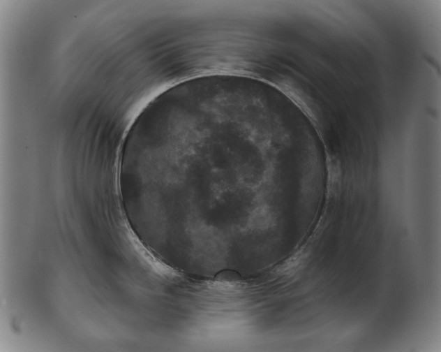 X0000101221246200807111049