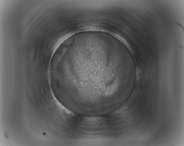 X0000101221247200807111049