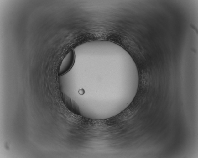 X0000101221249200807111048