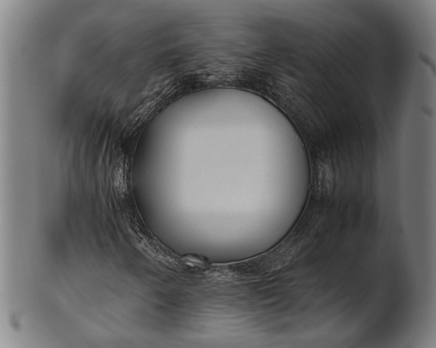X0000101221250200807111048
