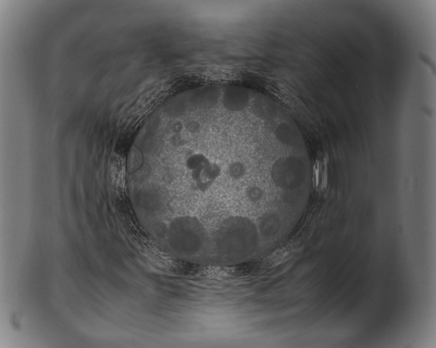 X0000101221251200807111048