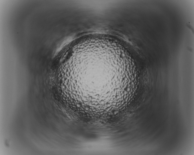X0000101221255200807111048