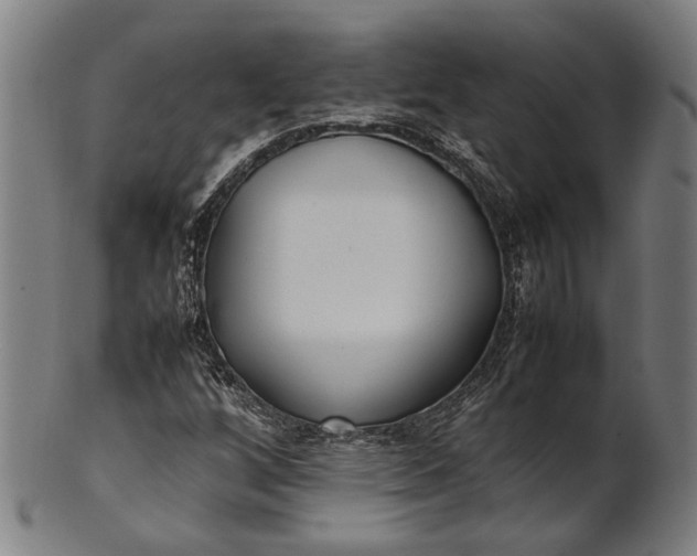 X0000101221256200807111048