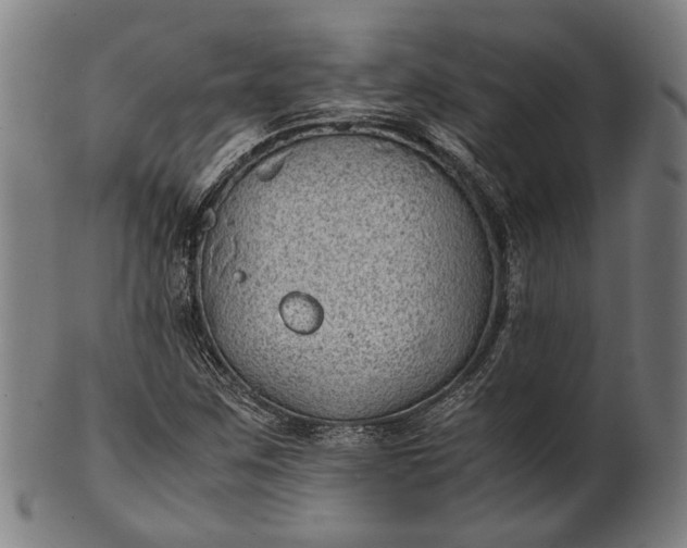 X0000101221259200807111048