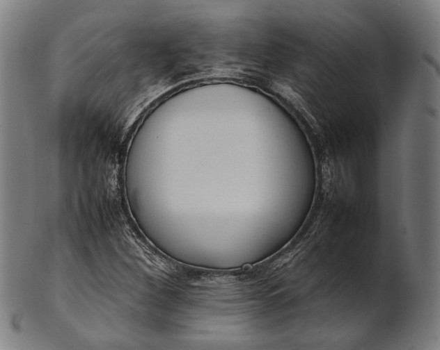 X0000101221260200807111048
