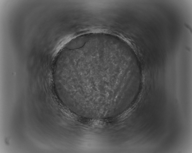 X0000101221263200807111048