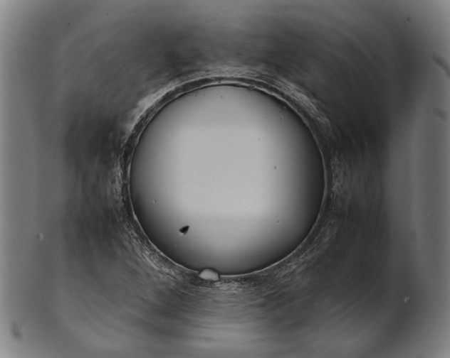 X0000101221264200807111048