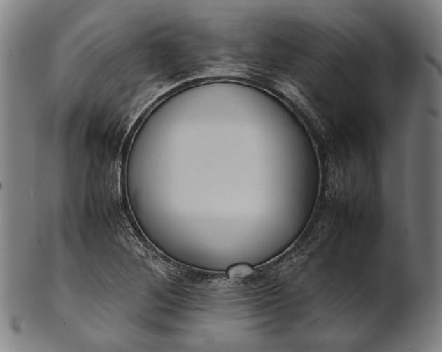 X0000101221268200807111048
