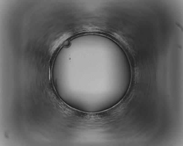 X0000101221269200807111048